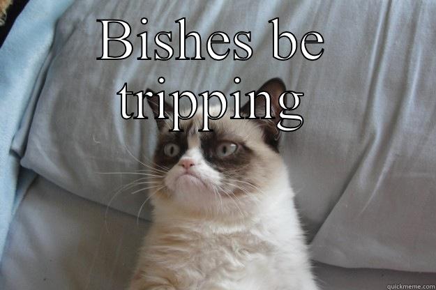 BISHES BE TRIPPING  Grumpy Cat
