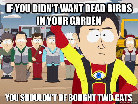 if you didn't want dead birds in your garden you shouldn't of bought two cats   Captain Hindsight