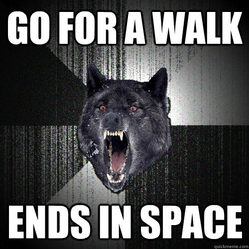 go for a walk ends in space  Insanity Wolf