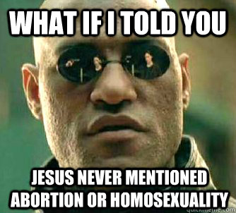 What if I told you Jesus never mentioned abortion or homosexuality  What if I told you