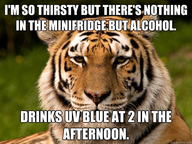 I'm so thirsty but there's nothing in the minifridge but alcohol.  Drinks UV Blue at 2 in the afternoon.   Typical College Student Tiger