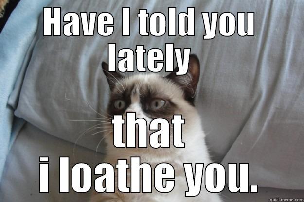 HAVE I TOLD YOU LATELY THAT I LOATHE YOU. Grumpy Cat
