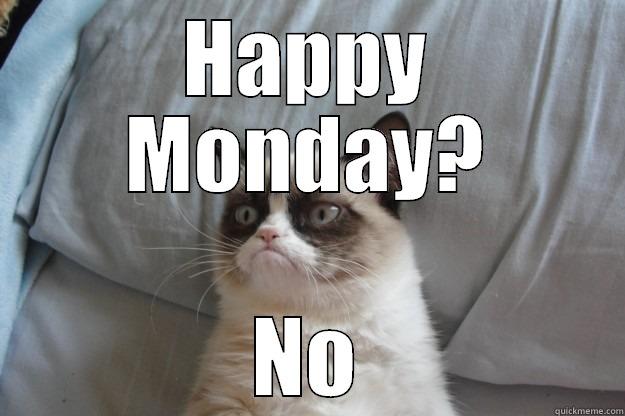 Grumpy Mondays - HAPPY MONDAY? NO Grumpy Cat