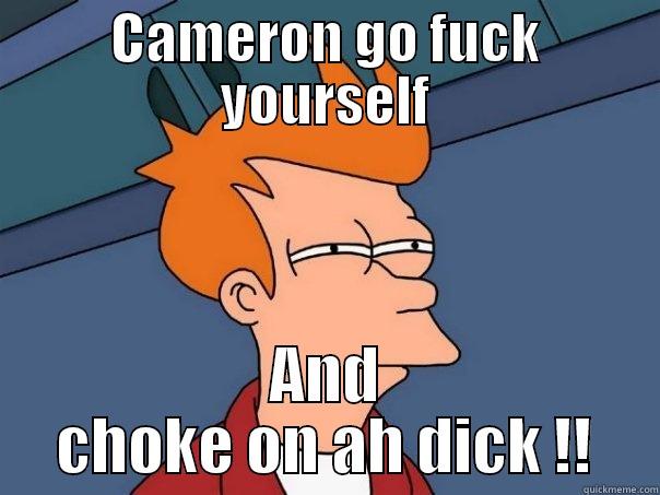 CAMERON GO FUCK YOURSELF AND CHOKE ON AH DICK !! Futurama Fry