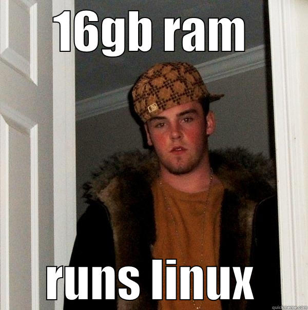 16GB RAM RUNS LINUX Scumbag Steve