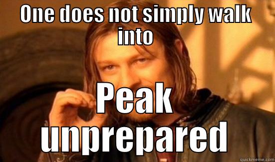 ONE DOES NOT SIMPLY WALK INTO PEAK UNPREPARED Boromir