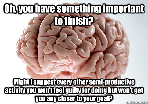 Oh, you have something important to finish? Might I suggest every other semi-productive activity you won't feel guilty for doing but won't get you any closer to your goal?  - Oh, you have something important to finish? Might I suggest every other semi-productive activity you won't feel guilty for doing but won't get you any closer to your goal?   Scumbag Brain