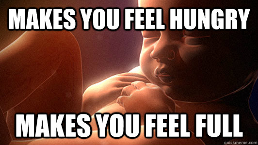 makes you feel hungry makes you feel full - makes you feel hungry makes you feel full  FuckingFetus
