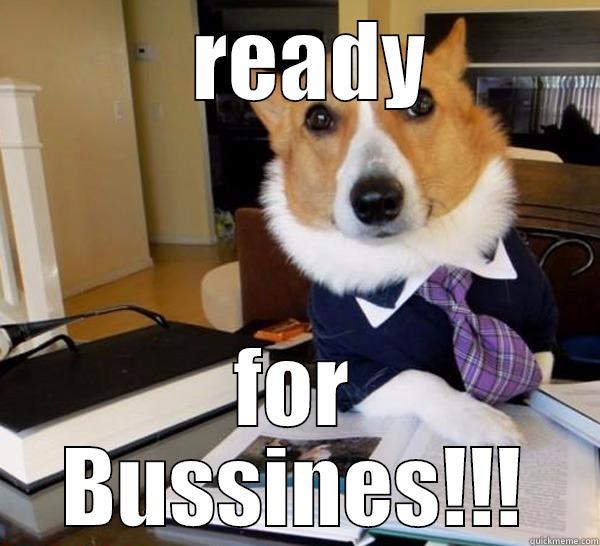    READY  FOR BUSSINES!!! Lawyer Dog