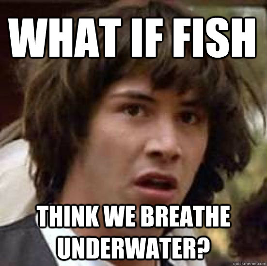 what if fish think we breathe underwater?  conspiracy keanu
