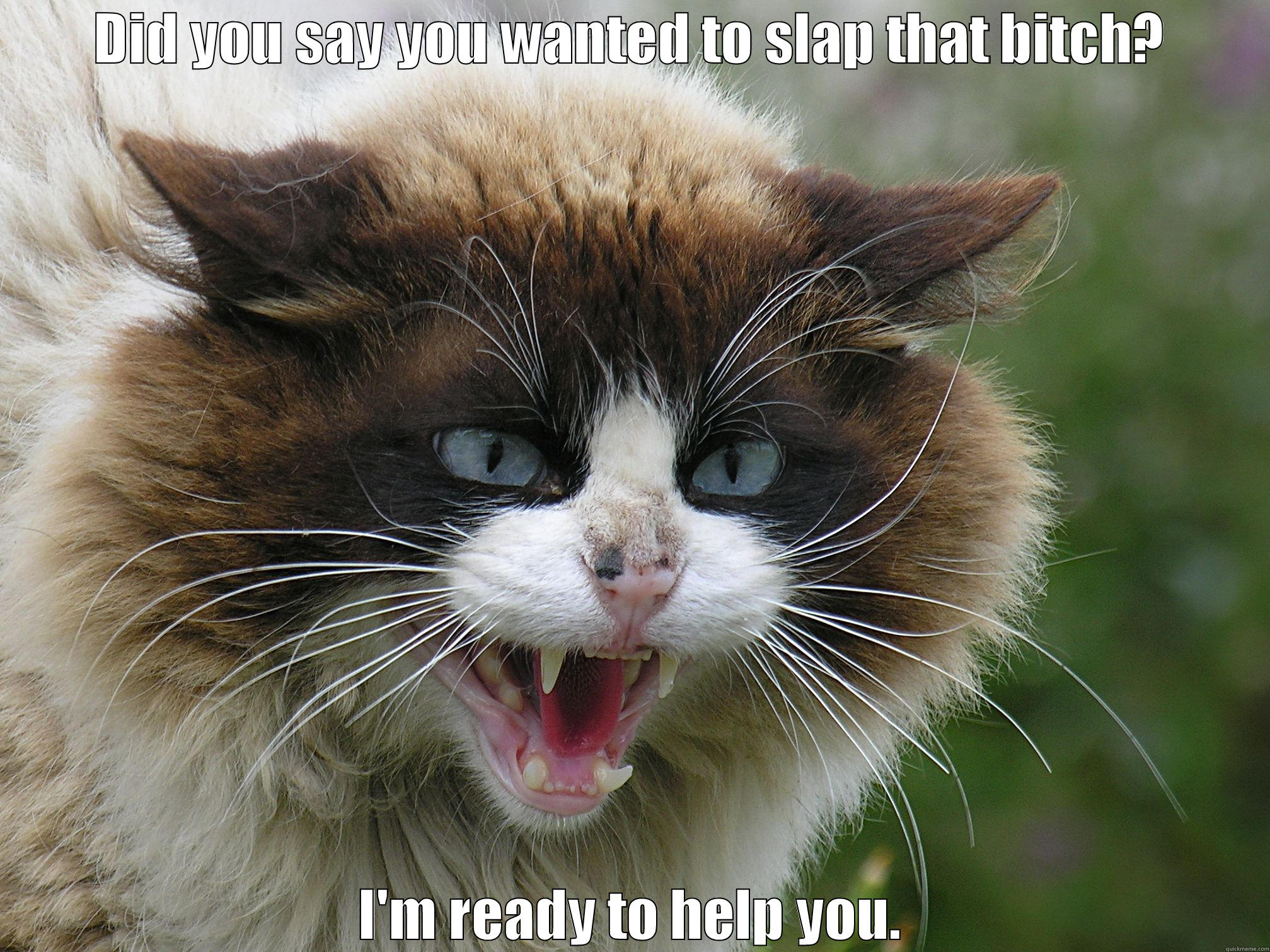 DID YOU SAY YOU WANTED TO SLAP THAT BITCH? I'M READY TO HELP YOU. Misc