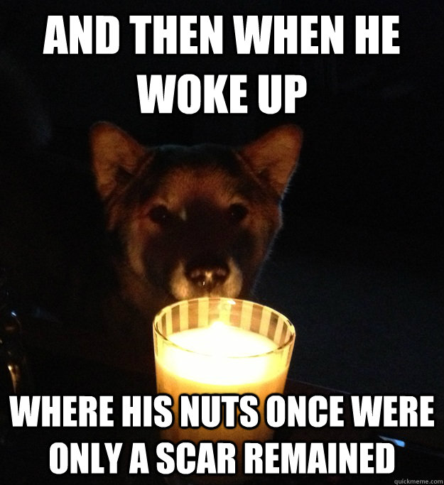 AND THEN WHEN HE WOKE UP WHERE HIS NUTS ONCE WERE ONLY A SCAR REMAINED  Scary Story Dog