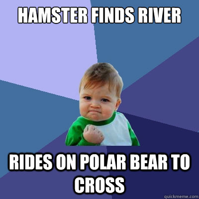 hamster finds river rides on polar bear to cross - hamster finds river rides on polar bear to cross  Success Kid