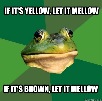 If it's yellow, let it mellow If it's brown, let it mellow  Foul Bachelor Frog