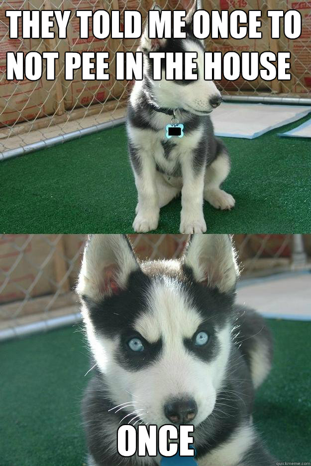 They told me once to not pee in the house ONCE   Insanity puppy