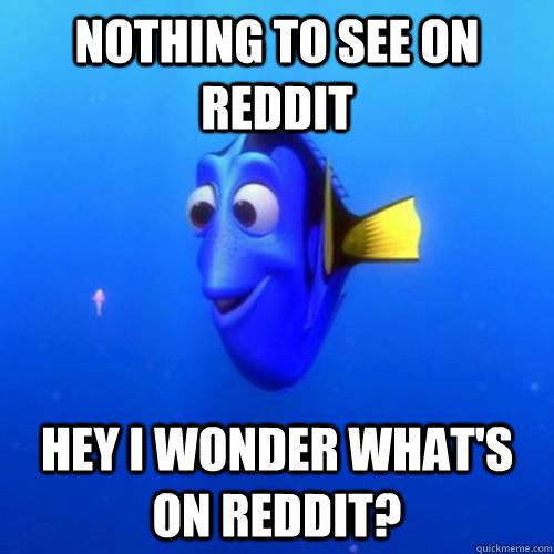 nothing to see on reddit  hey i wonder what's on reddit?  dory