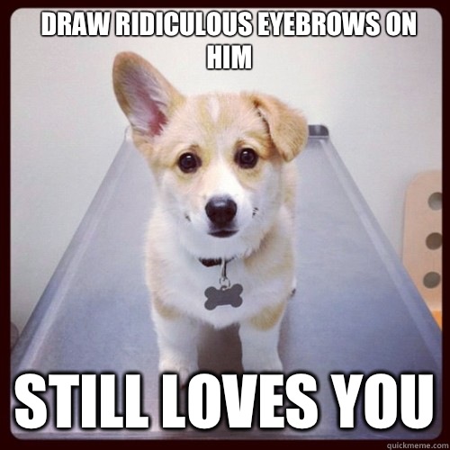 Draw ridiculous eyebrows on him Still loves you - Draw ridiculous eyebrows on him Still loves you  Good Guy Dog