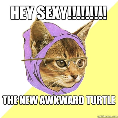The new awkward turtle hey sexy!!!!!!!!!  Hipster Kitty