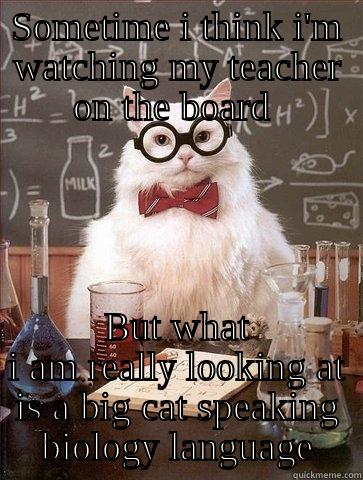 SOMETIME I THINK I'M WATCHING MY TEACHER ON THE BOARD  BUT WHAT I AM REALLY LOOKING AT IS A BIG CAT SPEAKING BIOLOGY LANGUAGE Chemistry Cat