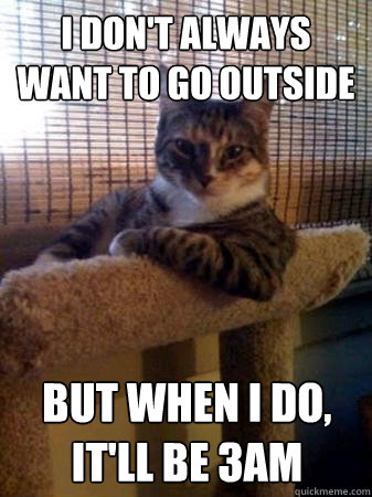 I don't always want to go outside but when I do, it'll be 3am  The Most Interesting Cat in the World