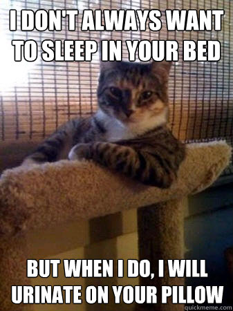I don't always want to sleep in your bed but when I do, i will urinate on your pillow  The Most Interesting Cat in the World