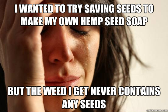 I wanted to try saving seeds to make my own hemp seed soap but the weed I get never contains any seeds  First World Problems