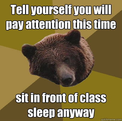 Tell yourself you will pay attention this time sit in front of class sleep anyway  Lazy Bachelor Bear
