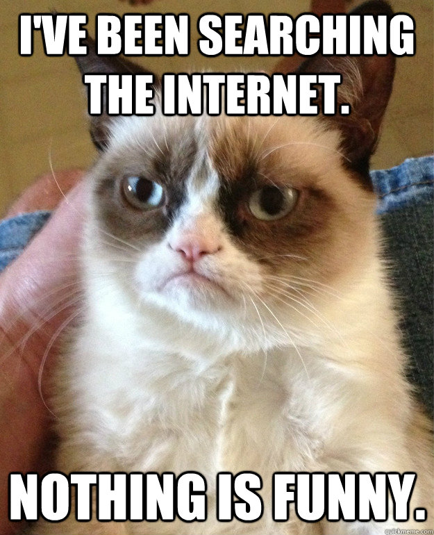 I've been searching the internet. nothing is funny.  Grumpy Cat