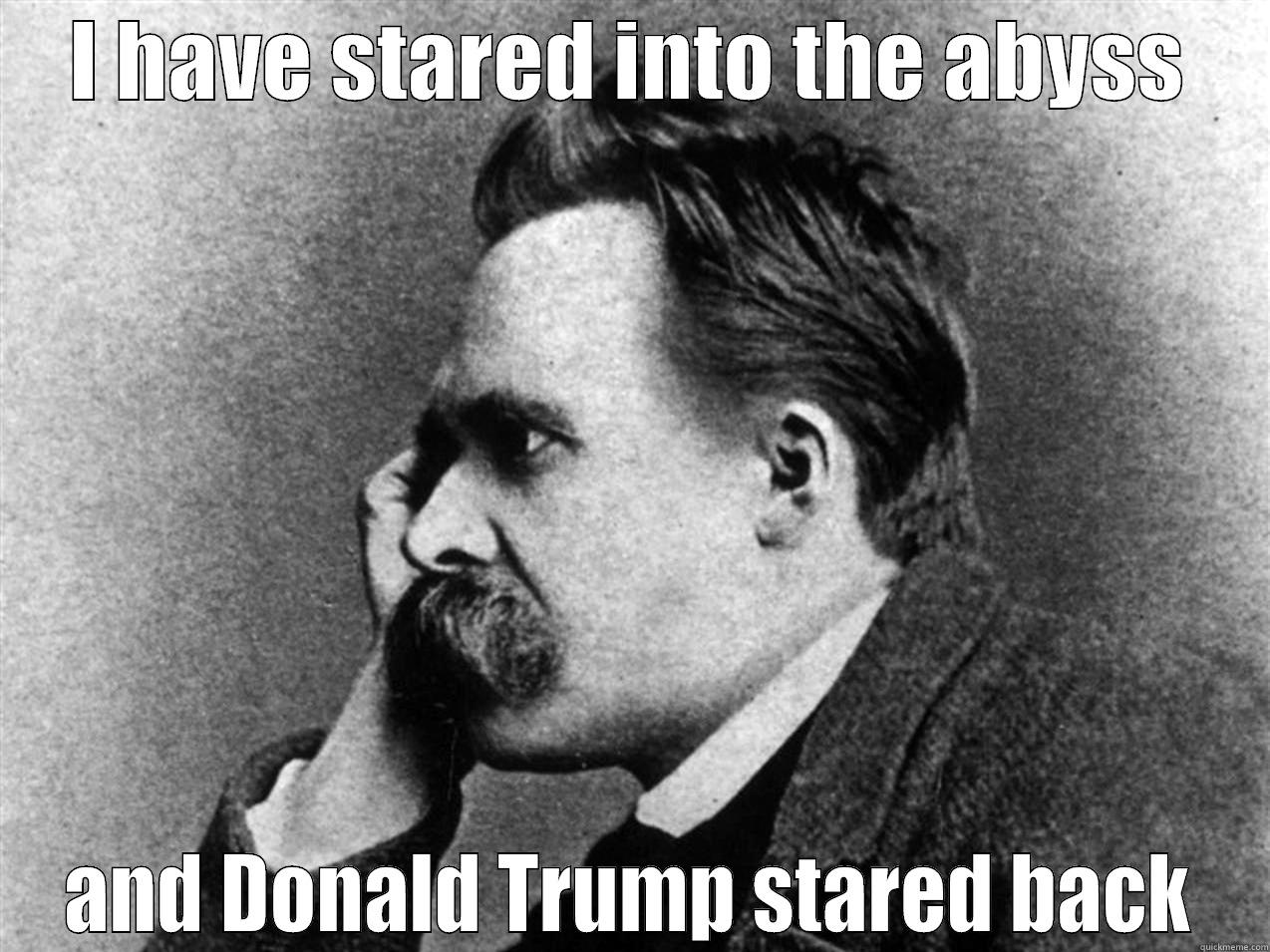 I HAVE STARED INTO THE ABYSS AND DONALD TRUMP STARED BACK Misc