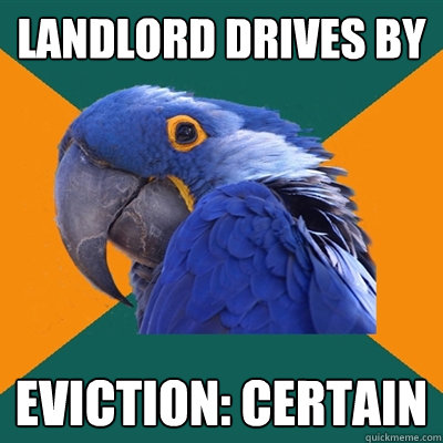 landlord drives by eviction: certain  Paranoid Parrot
