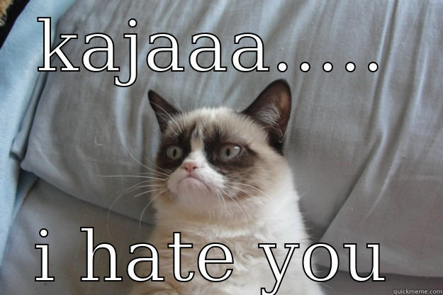 KAJAAA..... I HATE YOU Grumpy Cat