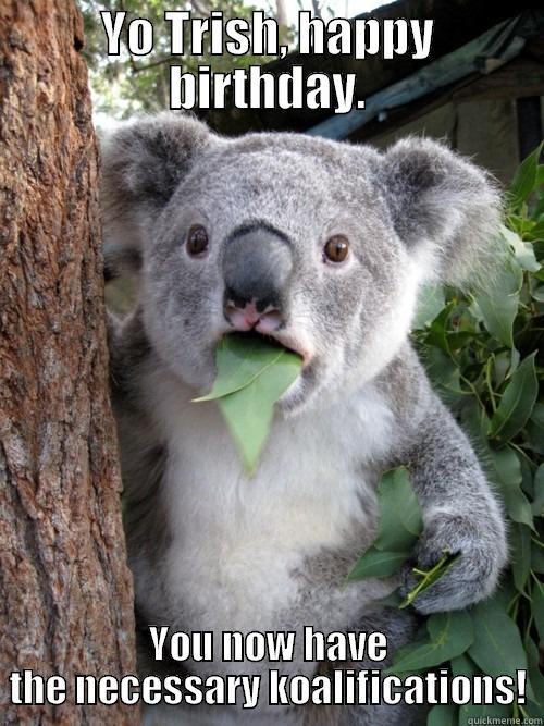 YO TRISH, HAPPY BIRTHDAY. YOU NOW HAVE THE NECESSARY KOALIFICATIONS! koala bear