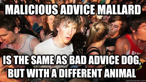 Malicious advice mallard Is the same as bad advice dog, but with a different animal  Sudden Clarity Clarence