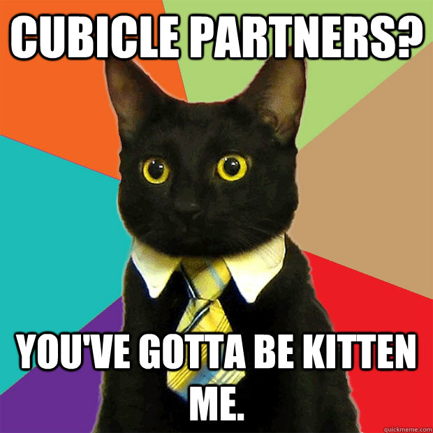 cubicle partners? you've gotta be kitten me. - cubicle partners? you've gotta be kitten me.  Business Cat
