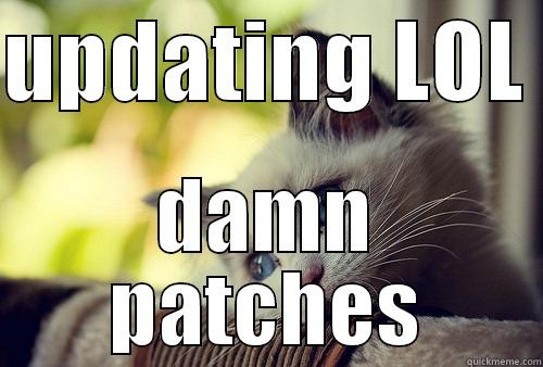 UPDATING LOL  DAMN PATCHES First World Problems Cat