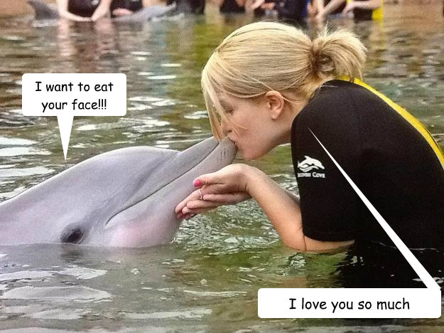 I want to eat your face!!!
 I love you so much  Kristen and the dolphin