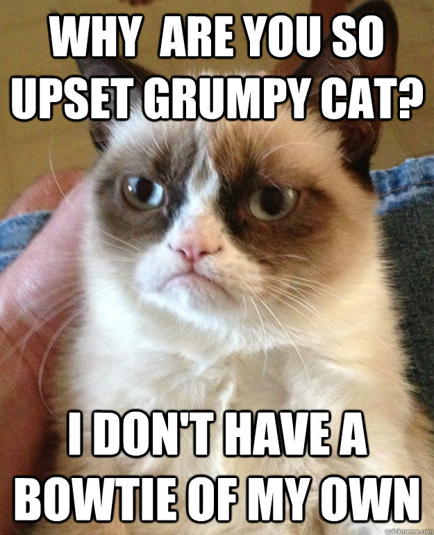 Why are you so upset grumpy cat? I don't have a bowtie of my own - Misc ...