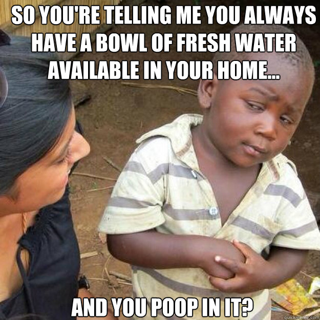 So you're telling me you always have a bowl of fresh water available in your home... and you poop in it? - So you're telling me you always have a bowl of fresh water available in your home... and you poop in it?  Misc