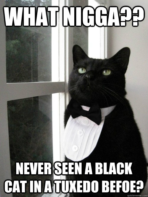 What nigga?? Never seen a black cat in a tuxedo befoe?  - What nigga?? Never seen a black cat in a tuxedo befoe?   One Percent Cat