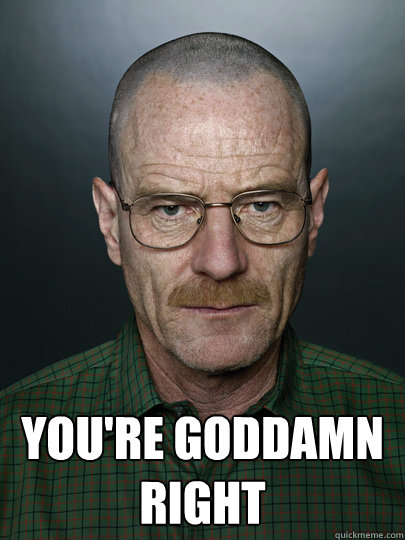  You're goddamn right   Advice Walter White