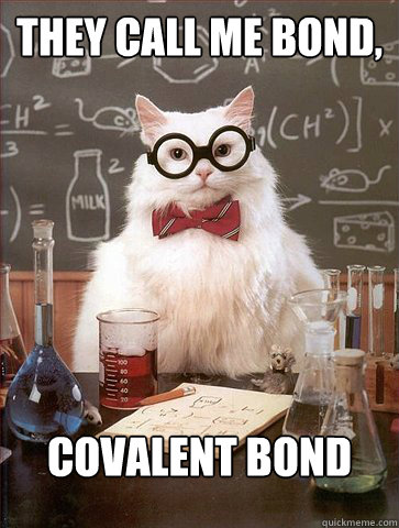 They call Me Bond, 

 Covalent Bond   Science Cat