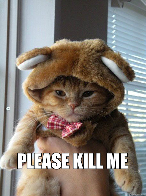  please kill me  kill me cat