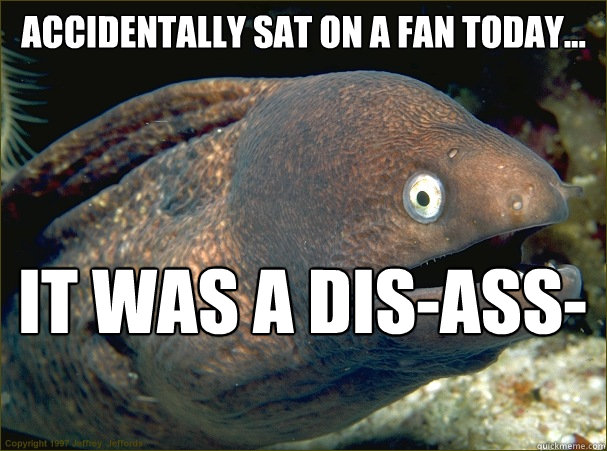 Accidentally sat on a fan today... it was a dis-ass-ter - Accidentally sat on a fan today... it was a dis-ass-ter  Bad Joke Eel