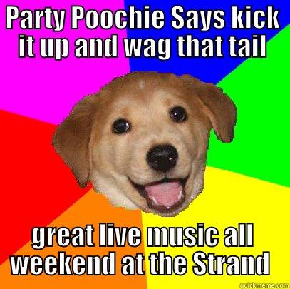 PARTY POOCHIE SAYS KICK IT UP AND WAG THAT TAIL GREAT LIVE MUSIC ALL WEEKEND AT THE STRAND  Advice Dog