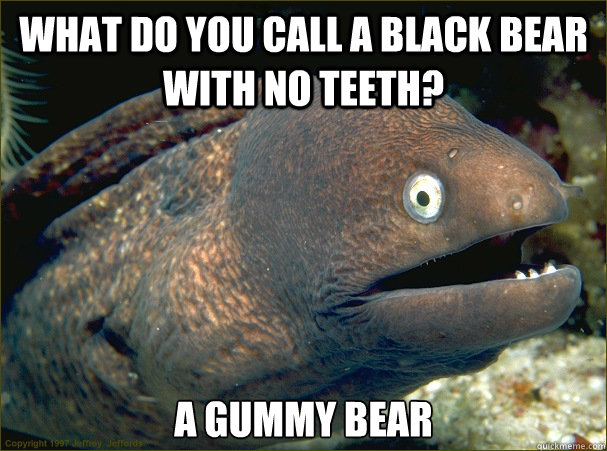 What do you call a black bear with no teeth? A gummy bear - What do you call a black bear with no teeth? A gummy bear  Bad Joke Eel
