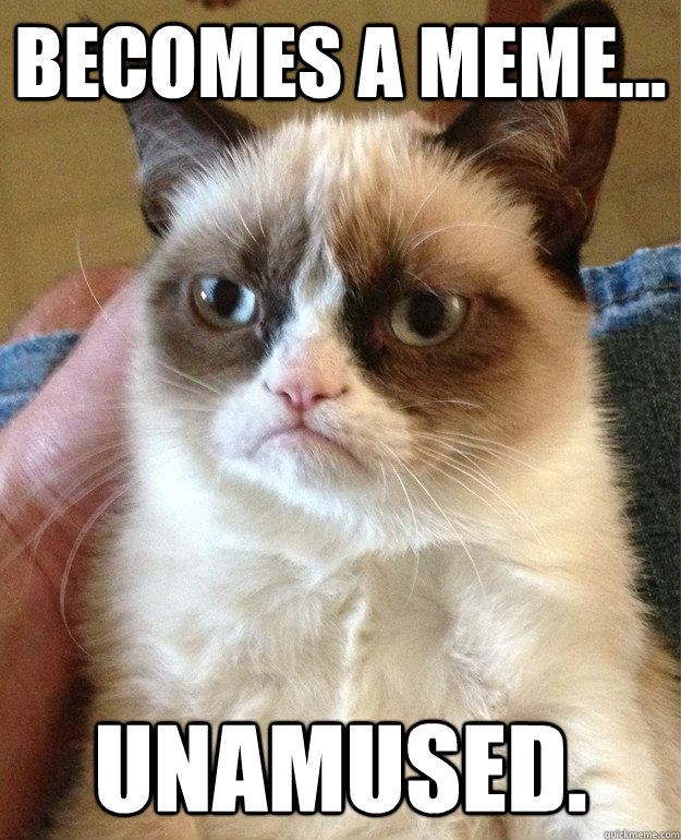 Becomes a meme... Unamused.   Grumpy Cat