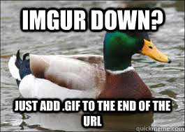 IMGUR down? just add .gif to the end of the URL - IMGUR down? just add .gif to the end of the URL  Good Advice Duck