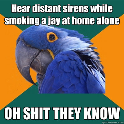 Hear distant sirens while smoking a jay at home alone OH SHIT THEY KNOW  Paranoid Parrot