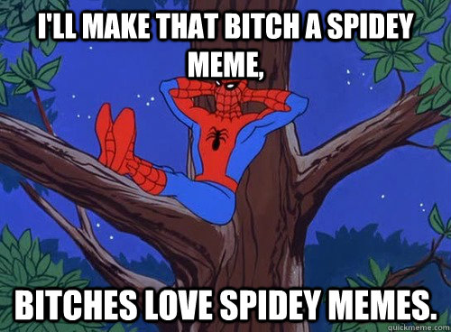 I'll make that bitch a spidey meme, bitches love spidey memes.  Spider man