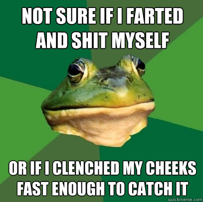 Not sure if I farted and shit myself Or if I clenched my cheeks fast enough to catch it  Foul Bachelor Frog